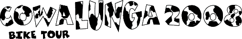 Please donate to the Lung Association